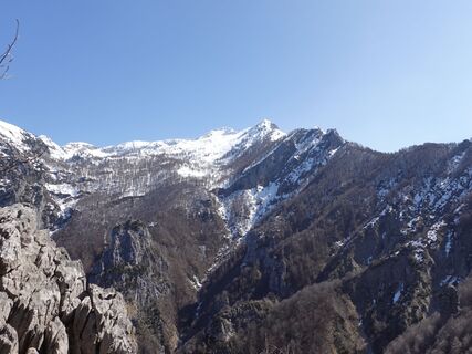 Fotografija s spletne strani Lorenzo L. na poti