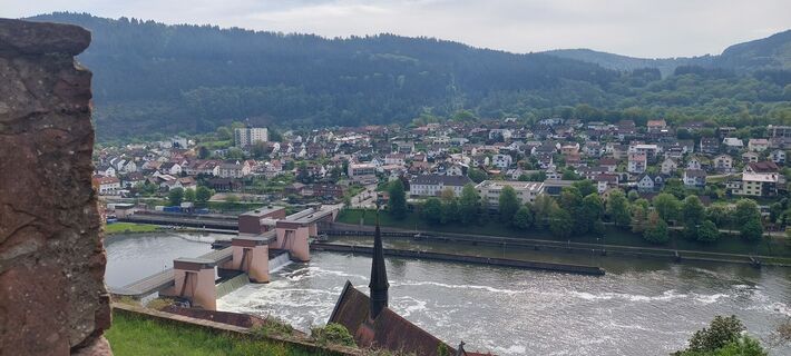 Blick zurück auf Hirschhorn