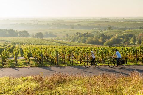 Genussradeln auf dem Radweg Deutsche Weinstraße