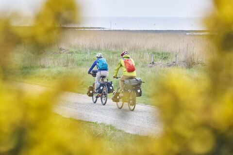 Radweg direkt am Wattenmeer