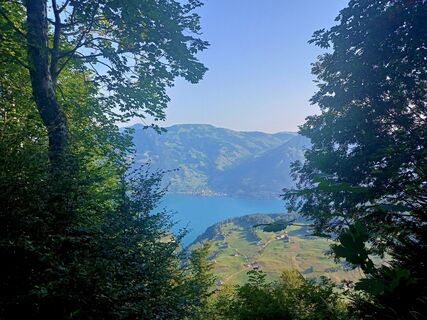 Fotografie z Jasi na trase