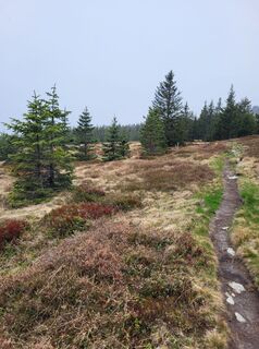 Foto fra Reinhard Pomper undervejs på turen