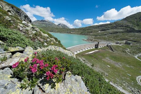 Lago Bianco