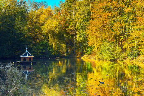 Sahnpark Crimmitschau