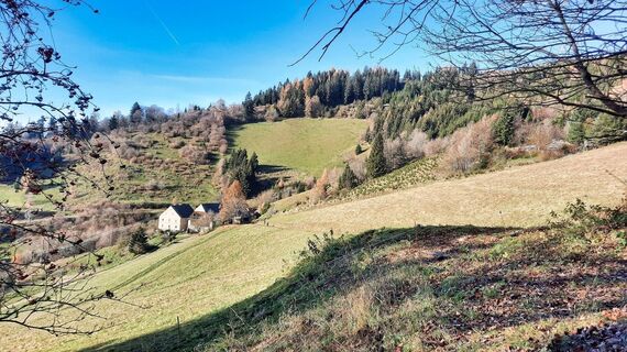 Blick zum Gehöft vlg. Brandner