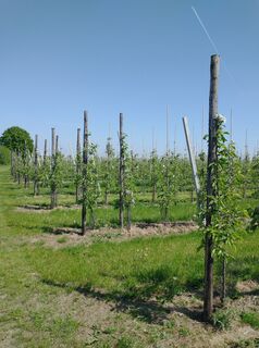 Fotografie z Janlee na trase