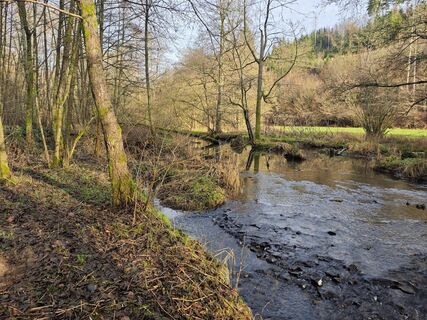 Fotografia z Björn Heun na trase