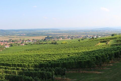 Ein sagenhafter Ausblick über das Traisental