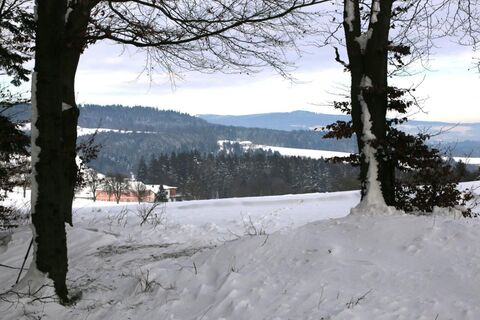Zemljevid