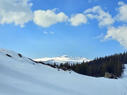 Photo de MRDL le long du parcours