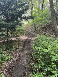 Fotografia z Thorsten Strüver na trase