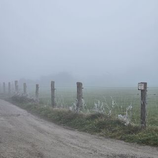 Fotografija s spletne strani garrincha na poti