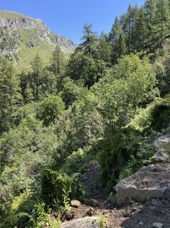 Photo de Oskar Vogel le long du parcours
