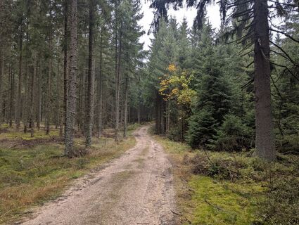 Foto von Claudia Thime entlang der Tour