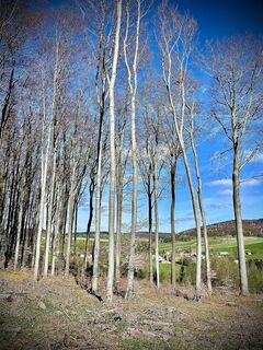 Fotografia z Kellner Heidi na trase