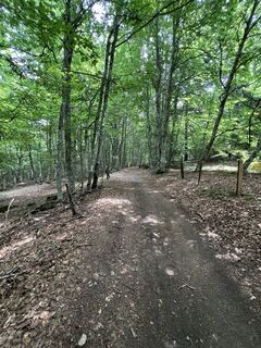 Foto von Nicolas Hervé entlang der Tour