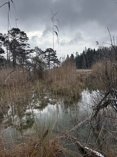 Foto från Denise Miller under resans gång