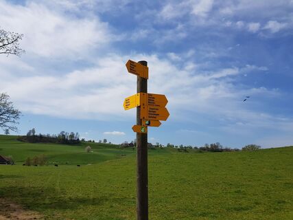 Vor Buholz