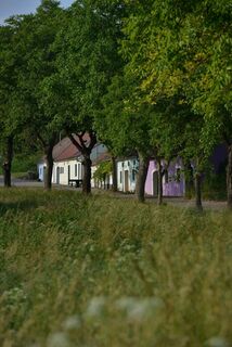 Kellergasse Thal Ottenthal