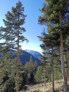 Foto fra Bergpirat underveis på turen