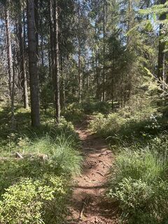 Photo de Sina Johanna le long du parcours