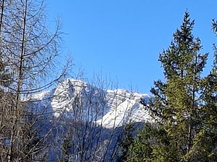 Fotografija s spletne strani Jagerblut na poti