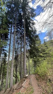 Foto von Maja Mariann Nagy entlang der Tour