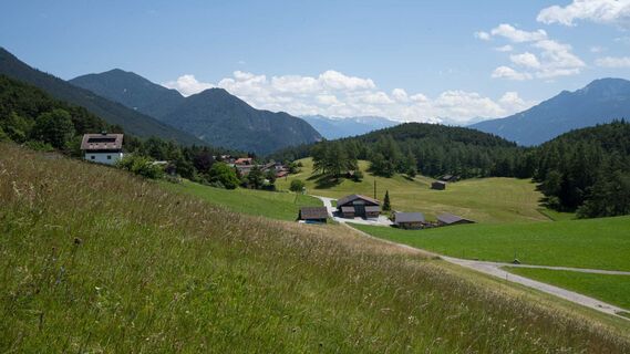 Reith-Wiesenwegrunde (c) Anna Rieder