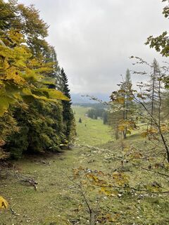 Foto från Martin Weiss 3 under resans gång