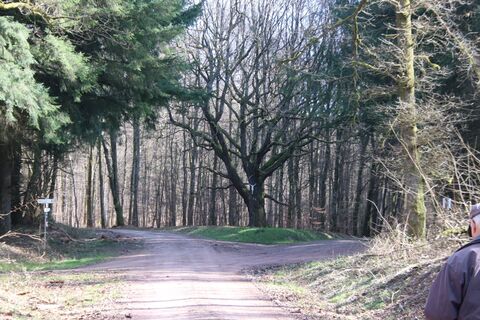 Photo de Günter Kleutsch le long du parcours