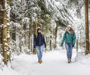 Winterwandern