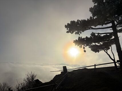 Photo de Georgiamartin0815 le long du parcours
