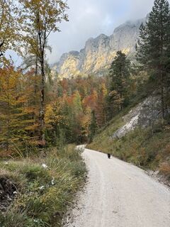 Photo de Joaquin Kersting le long du parcours