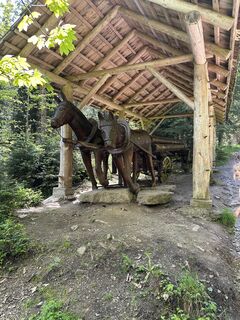 Foto von Babs Holz entlang der Tour