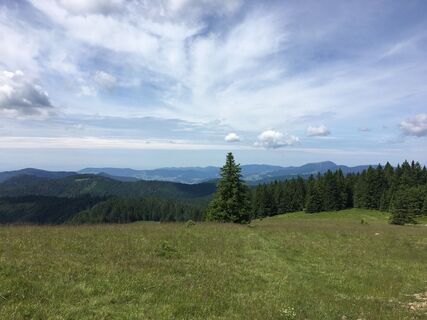 Foto von Ralf Umminger entlang der Tour