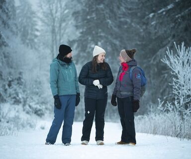 Winterwanderung