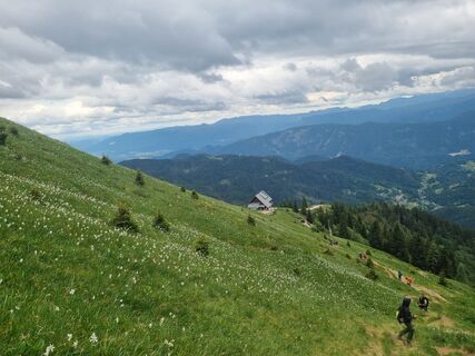 Zdjęcie z Grizli wzdłuż trasy