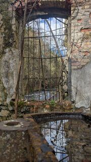 Foto von hochlandfamilie entlang der Tour