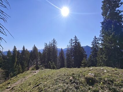 Fotografija s spletne strani Michi Steiert na poti