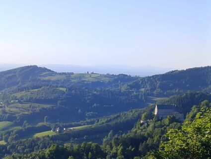 Photo de Meli le long du parcours