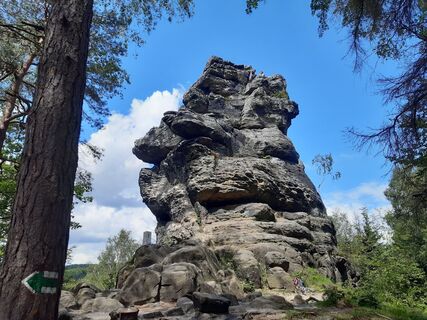Foto från nordbergschnecke under resans gång