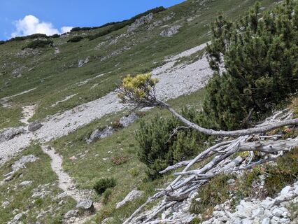 Photo de Margot 1234 le long du parcours