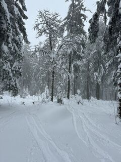 Fotografie z Felix Gutschalk na trase