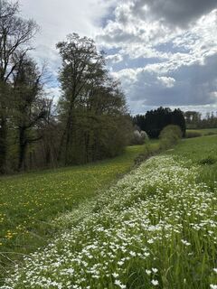 Fotografija s spletne strani lukas na poti