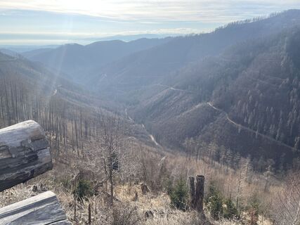 Foto von firebird 93 entlang der Tour