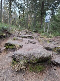 Foto van Wollomator langs de tour