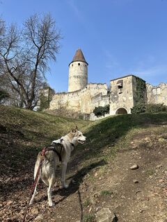 Foto von Mario Loibl entlang der Tour