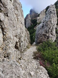 Foto von Lorenzo Martinelli entlang der Tour