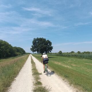 Richtung Brücke von Andau