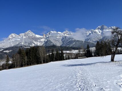 Zdjęcie z Constanze 1 wzdłuż trasy